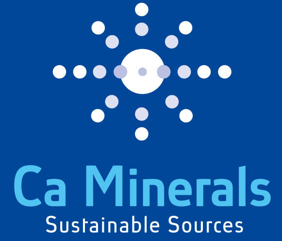 CA Minerals